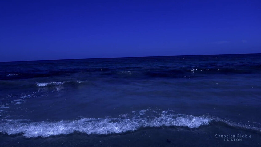 SkepticalPickle ASMR - 1 July 2026 - Super Relaxing Beach Video & Audio by Me | Golden Tier